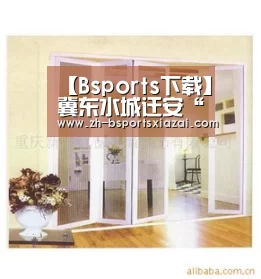 Bsports下载