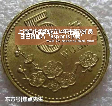 Bsports下载