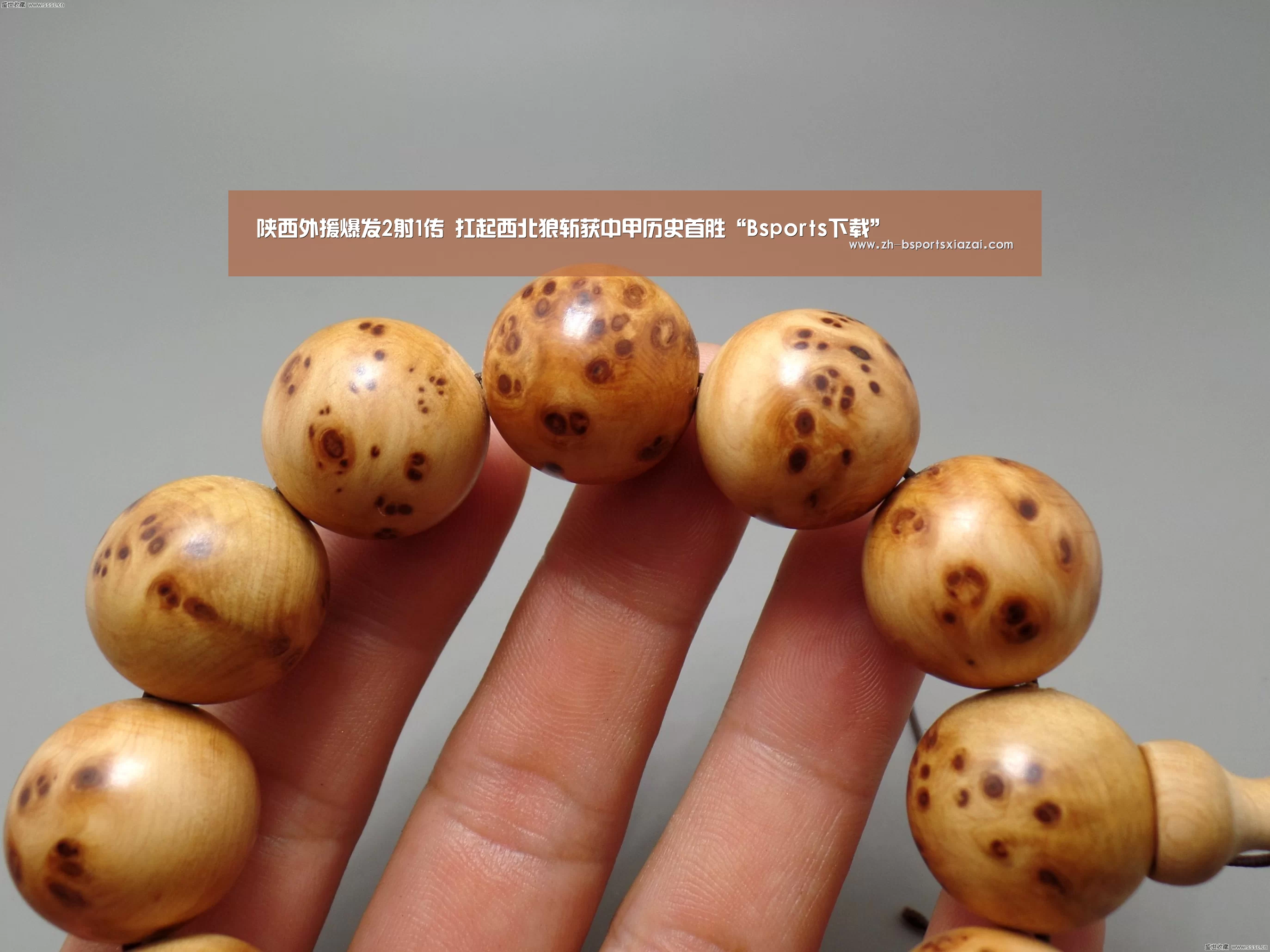陕西外援爆发2射1传 扛起西北狼斩获中甲历史首胜“Bspor