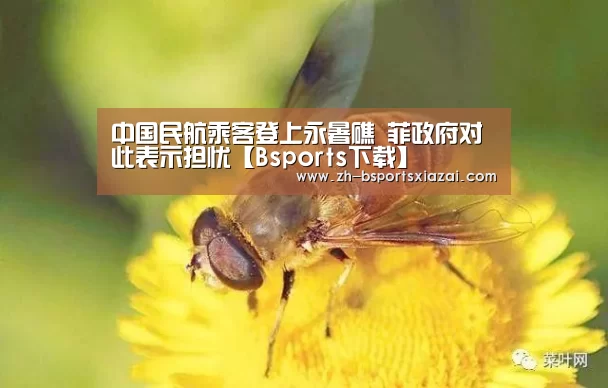 Bsports下载