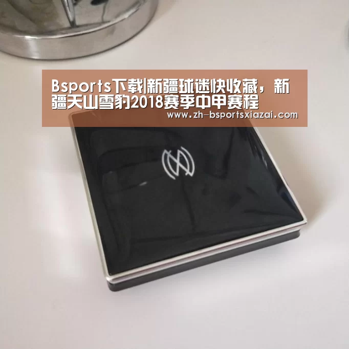 Bsports下载