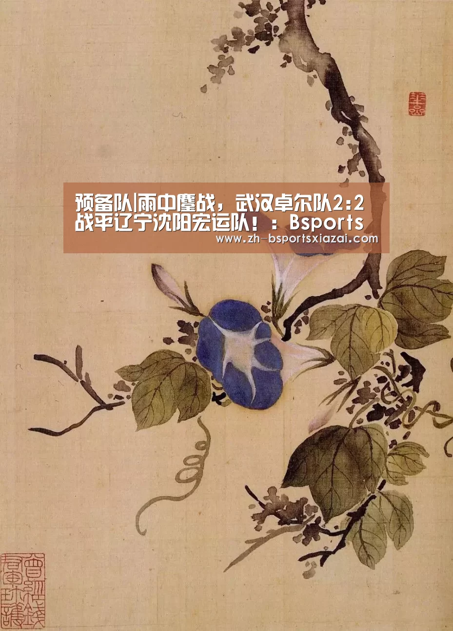 Bsports下载