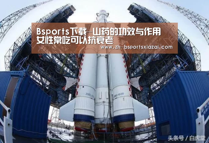 Bsports下载
