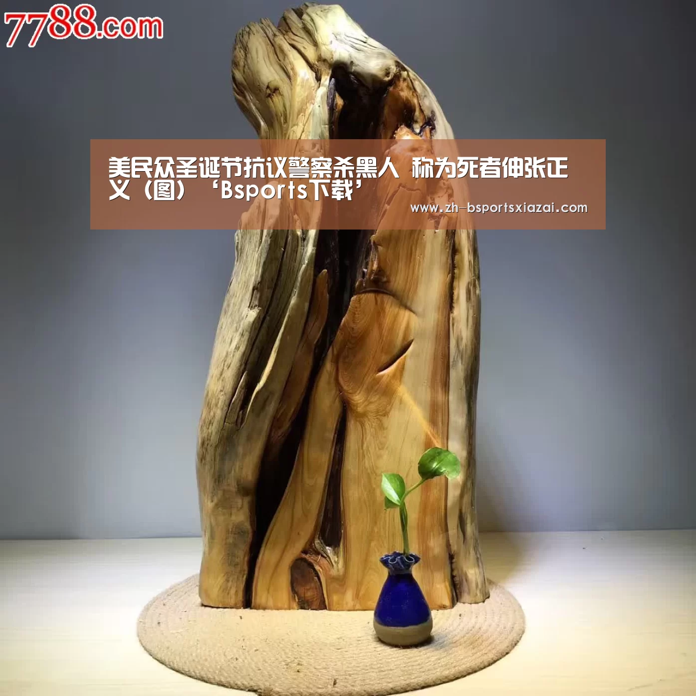Bsports下载