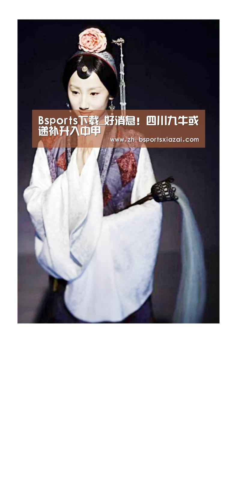 Bsports下载